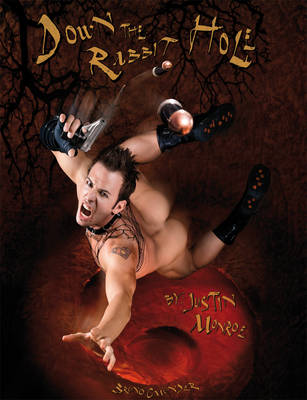 Down the Rabbit Hole (Hardback)