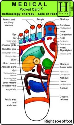 Reflexology Therapy - Sole of Foot: Medical Pocket Card
