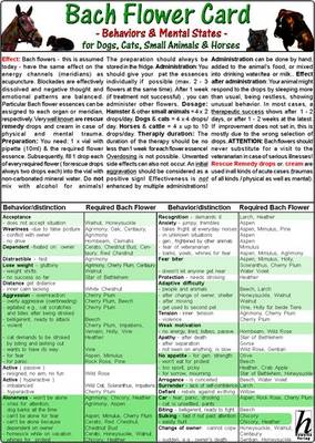 Bach Flower Card for Dogs, Cats, Small Animals and Horses - Behaviours and Mental States: Veterinary Science Card