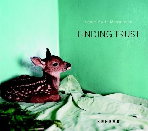 Finding Trust (Hardback)