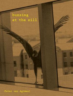 Buzzing At The Sill (Hardback)
