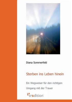 Sterben Ins Leben Hinein (Paperback)
