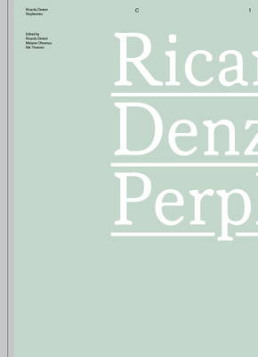 Ricarda Denzer - Perplexities (Paperback)