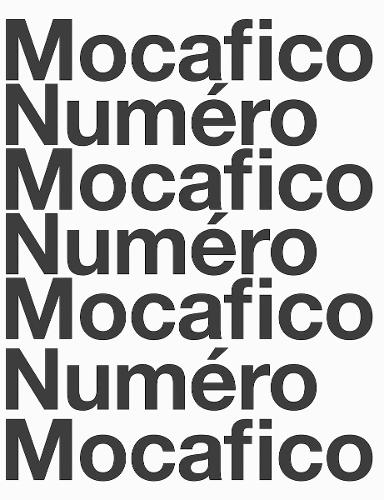 Guido Mocafico: Mocafico Numero (Paperback)