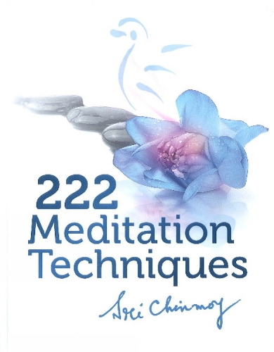 222 Meditation Techniques (Hardback)