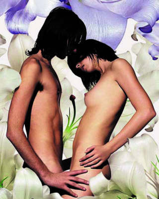 Head, Heart and Hips: The Big Active Book of Sex (Hardback)
