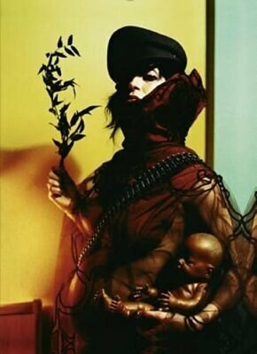 Immune (Hardback)