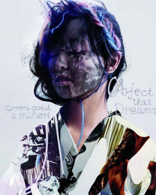 Object That Dreams (Hardback)