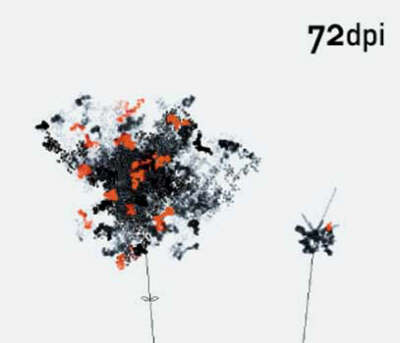 72 DPI (Paperback)