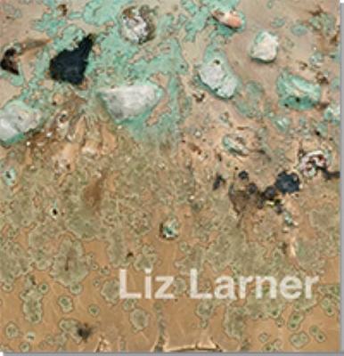 Liz Larner (Hardback)