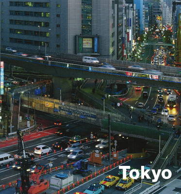 Tokyo: A Metropolis as a Self Organizing System (Hardback)