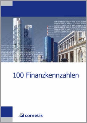 100 Finanzkennzahlen (Paperback)