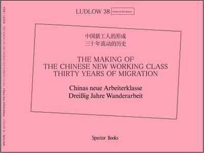 The Making of the Chinese New Working Class: Thirty Years of Migration (Paperback)