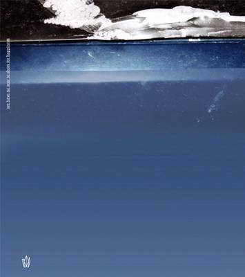 We Have No Scar to Show for Happiness (Paperback)