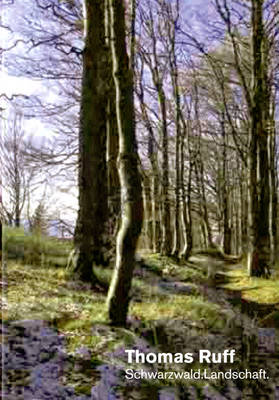 Thomas Ruff: Schwarzwald - Landschaft (Hardback)