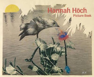 Hannah Hoch (Hardback)