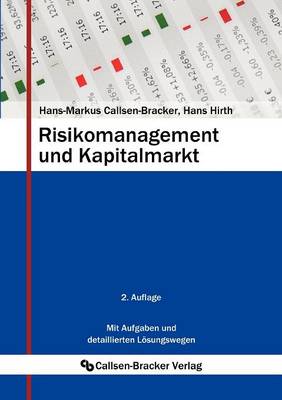 Risikomanagement Und Kapitalmarkt (Paperback)