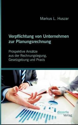 Verpflichtung Von Unternehmen Zur Planungsrechnung: Prospektive ANS Tze Aus Der Rechnungslegung, Gesetzgebung Und Praxis (Hardback)