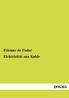 Elektrizit T Aus Kohle (Paperback)