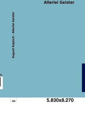 Allerlei Geister (Paperback)
