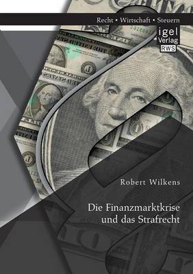 Die Finanzmarktkrise Und Das Strafrecht (Paperback)