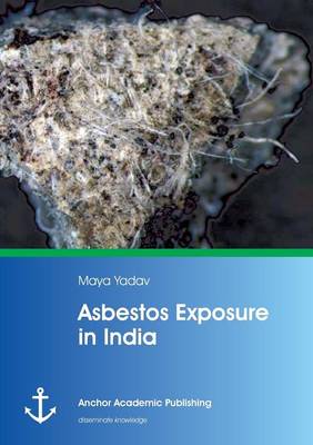 Asbestos Exposure in India (Paperback)