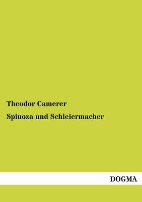Spinoza Und Schleiermacher (Paperback)