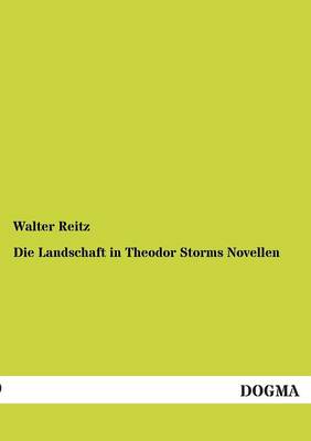 Die Landschaft in Theodor Storms Novellen (Paperback)