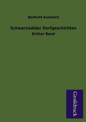 Schwarzwalder Dorfgeschichten (Paperback)