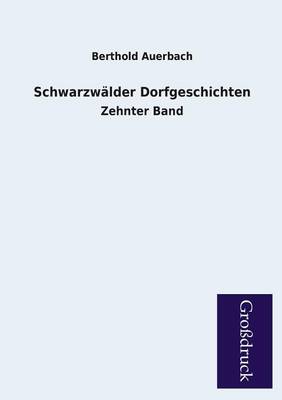 Schwarzwalder Dorfgeschichten (Paperback)