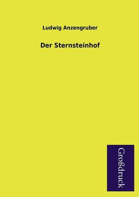 Der Sternsteinhof (Paperback)