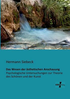 Das Wesen Der Asthetischen Anschauung (Paperback)