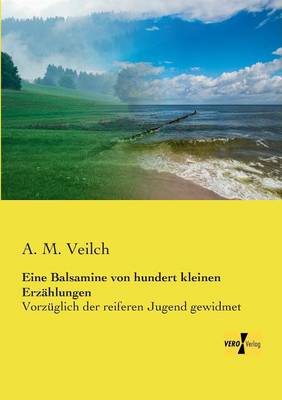 Eine Balsamine Von Hundert Kleinen Erzahlungen (Paperback)