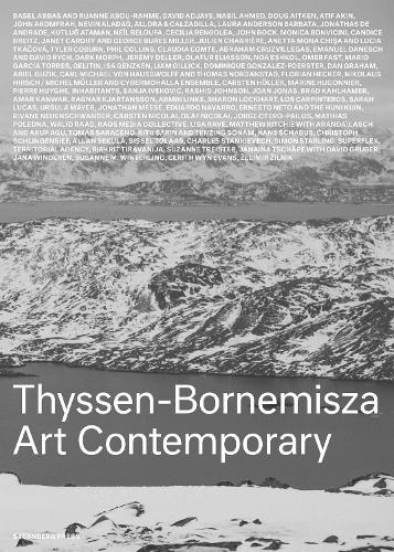 Thyssen-Bornemisza Art Contemporary: The Commissions Book (Hardback)
