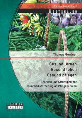 Gesund Lernen - Gesund Leben - Gesund Pflegen: Chancen Und Strategien Der Gesundheitsforderung an Pflegeschulen (Paperback)