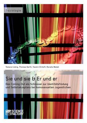 Sie Und Sie & Er Und Er. Das Coming-Out ALS Schlussel Zur Identitatsfindung Und Selbstakzeptanz Bei Homosexuellen Jugendlichen (Paperback)