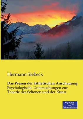 Das Wesen Der Asthetischen Anschauung (Paperback)