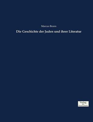 Die Geschichte Der Juden Und Ihrer Literatur (Paperback)