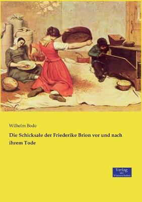 Die Schicksale Der Friederike Brion VOR Und Nach Ihrem Tode (Paperback)