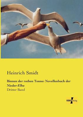 Binnen Der Rothen Tonne: Novellenbuch Der Nieder-Elbe (Paperback)