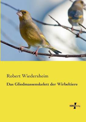 Das Gliedmassenskelett Der Wirbeltiere (Paperback)