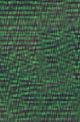 Muslim Matter (Paperback)