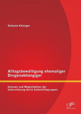 Alltagsbewaltigung Ehemaliger Drogenabhangiger: Grenzen Und Moglichkeiten Der Unterstutzung Durch Selbsthilfegruppen (Paperback)