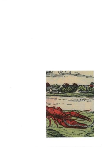 Fragments of a Crisis (Paperback)