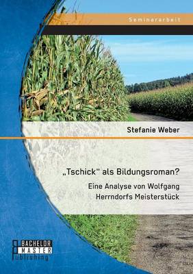 Tschick" ALS Bildungsroman? Eine Analyse Von Wolfgang Herrndorfs Meisterstuck (Paperback)