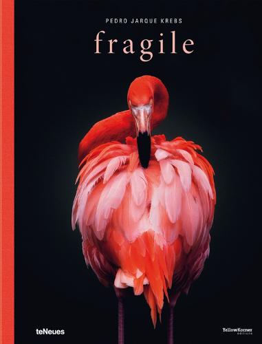 Fragile (Hardback)