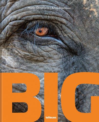 Big: A Photographic Album of the World's Largest Animals (Hardback)