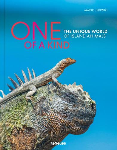 One of a Kind: The Unique World of Island Animals (Hardback)