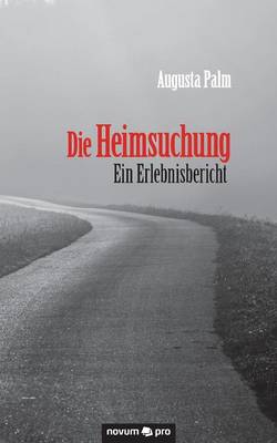 Die Heimsuchung - Ein Erlebnisbericht (Paperback)