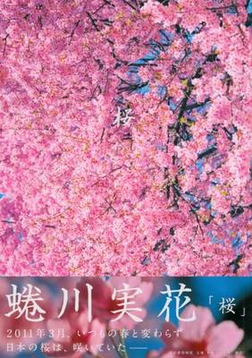 Mika Ninagawa - Sakura: Cherry Blossom (Hardback)